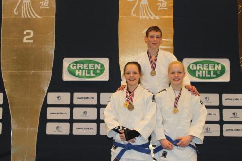 Klikk p� bilde for full storleik