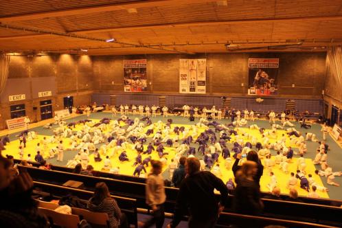 Klikk p� bilde for full storleik