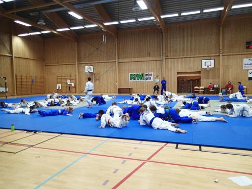 Klikk p� bilde for full st�rrelse